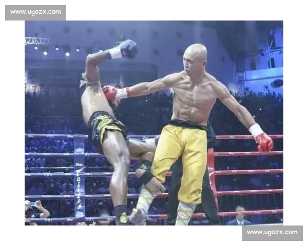 武林风巅峰对决一龙迎战播求的荣誉力量与传奇宿命格斗擂台之战